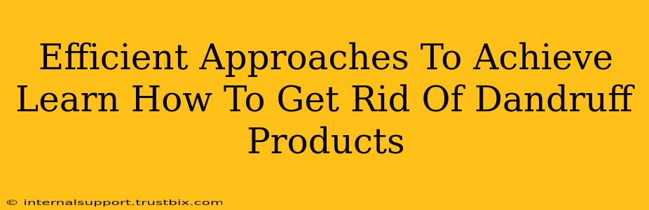 Efficient Approaches To Achieve Learn How To Get Rid Of Dandruff Products