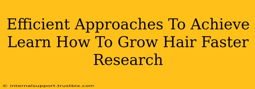 Efficient Approaches To Achieve Learn How To Grow Hair Faster Research