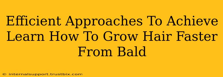 Efficient Approaches To Achieve Learn How To Grow Hair Faster From Bald