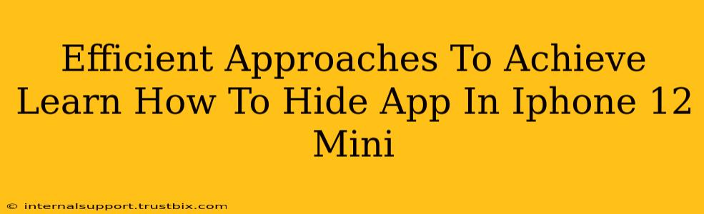 Efficient Approaches To Achieve Learn How To Hide App In Iphone 12 Mini