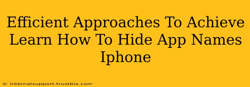 Efficient Approaches To Achieve Learn How To Hide App Names Iphone