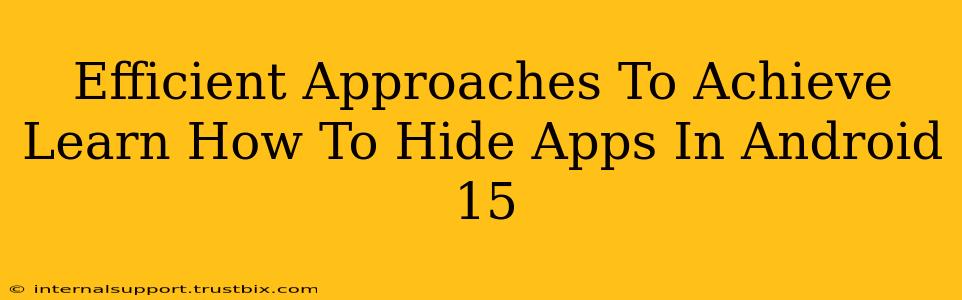 Efficient Approaches To Achieve Learn How To Hide Apps In Android 15