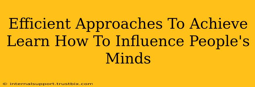 Efficient Approaches To Achieve Learn How To Influence People's Minds