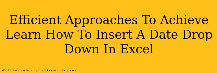 Efficient Approaches To Achieve Learn How To Insert A Date Drop Down In Excel