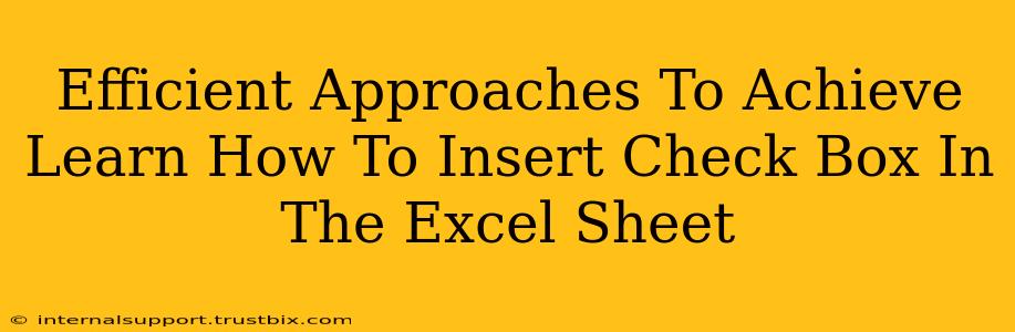 Efficient Approaches To Achieve Learn How To Insert Check Box In The Excel Sheet