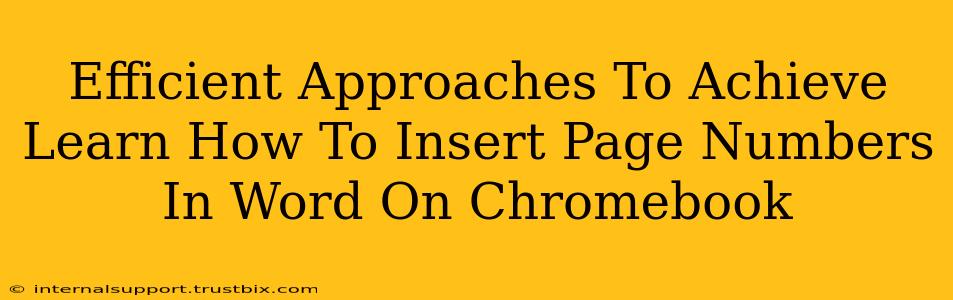 Efficient Approaches To Achieve Learn How To Insert Page Numbers In Word On Chromebook