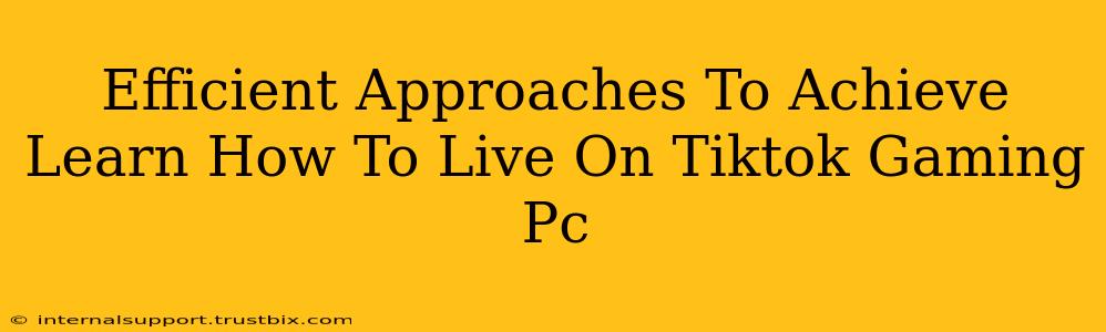 Efficient Approaches To Achieve Learn How To Live On Tiktok Gaming Pc