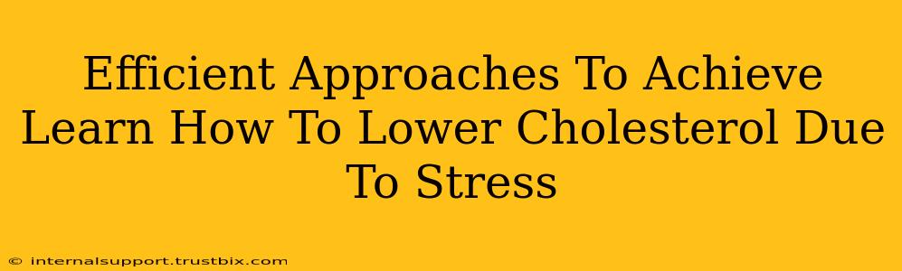 Efficient Approaches To Achieve Learn How To Lower Cholesterol Due To Stress