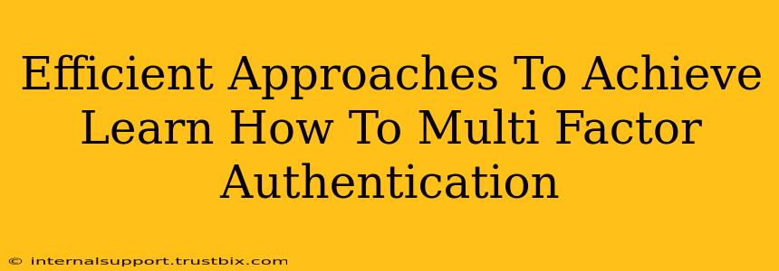 Efficient Approaches To Achieve Learn How To Multi Factor Authentication