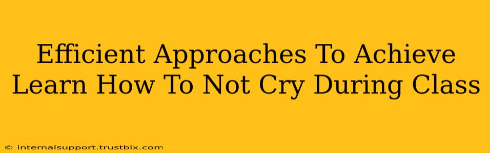 Efficient Approaches To Achieve Learn How To Not Cry During Class