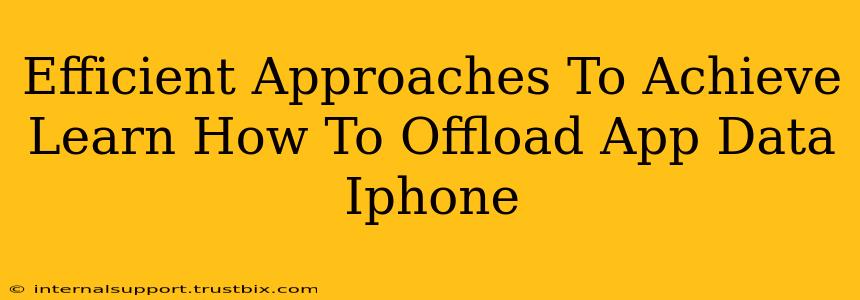 Efficient Approaches To Achieve Learn How To Offload App Data Iphone