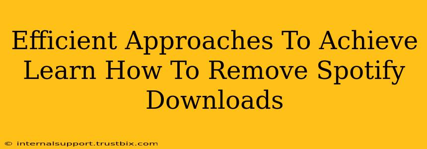 Efficient Approaches To Achieve Learn How To Remove Spotify Downloads