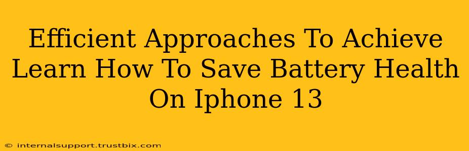 Efficient Approaches To Achieve Learn How To Save Battery Health On Iphone 13