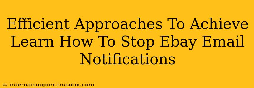 Efficient Approaches To Achieve Learn How To Stop Ebay Email Notifications