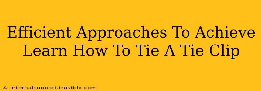 Efficient Approaches To Achieve Learn How To Tie A Tie Clip