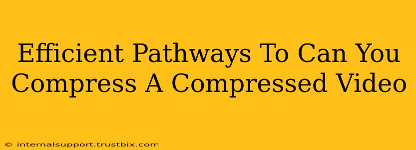 Efficient Pathways To Can You Compress A Compressed Video