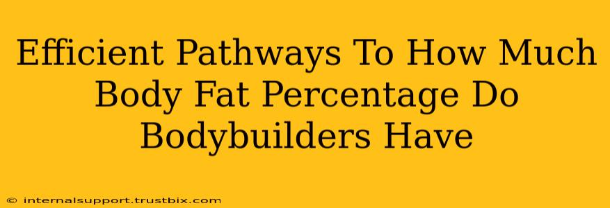 Efficient Pathways To How Much Body Fat Percentage Do Bodybuilders Have