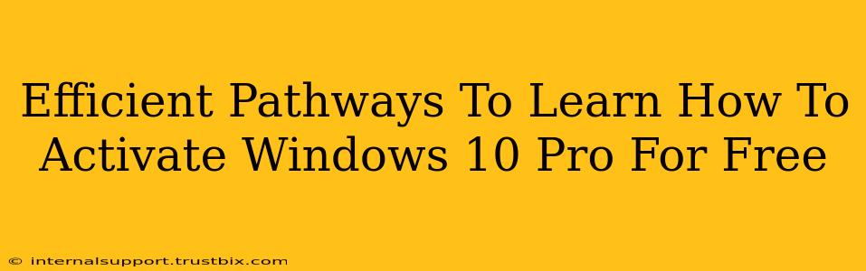 Efficient Pathways To Learn How To Activate Windows 10 Pro For Free