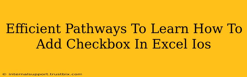 Efficient Pathways To Learn How To Add Checkbox In Excel Ios