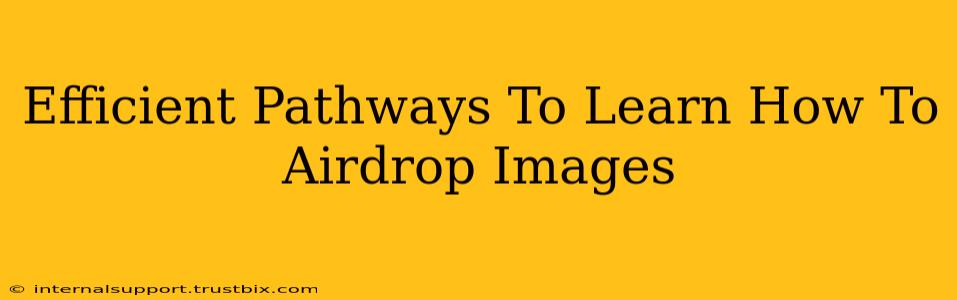 Efficient Pathways To Learn How To Airdrop Images