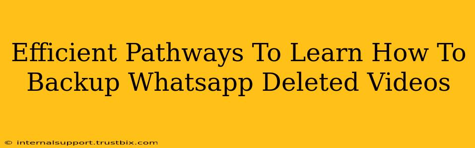 Efficient Pathways To Learn How To Backup Whatsapp Deleted Videos