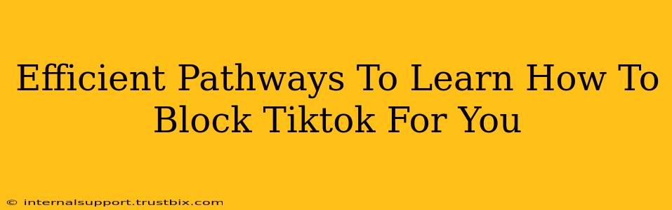 Efficient Pathways To Learn How To Block Tiktok For You