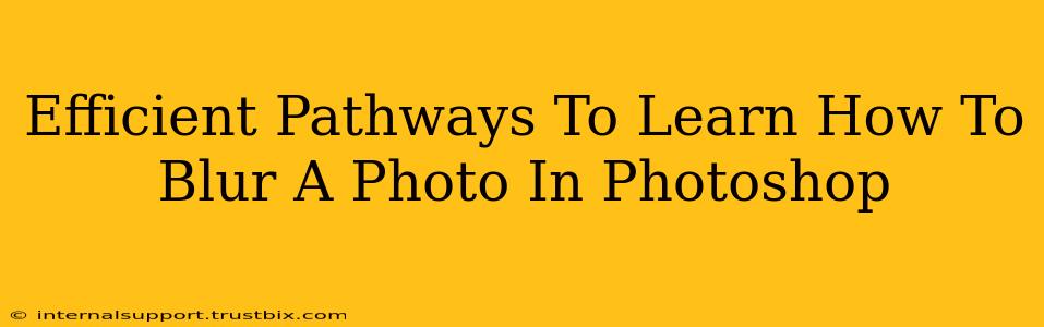 Efficient Pathways To Learn How To Blur A Photo In Photoshop