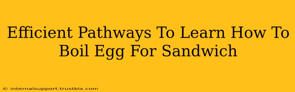 Efficient Pathways To Learn How To Boil Egg For Sandwich