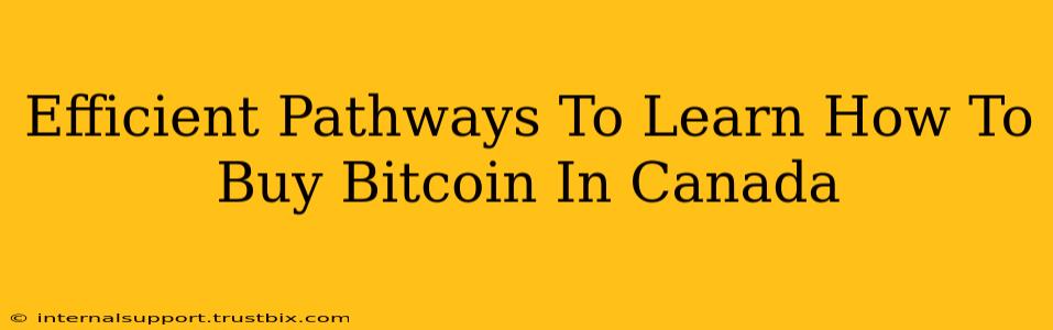 Efficient Pathways To Learn How To Buy Bitcoin In Canada