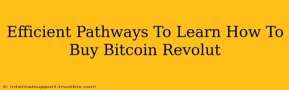 Efficient Pathways To Learn How To Buy Bitcoin Revolut