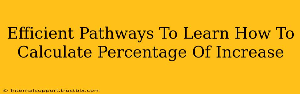 Efficient Pathways To Learn How To Calculate Percentage Of Increase