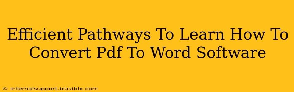 Efficient Pathways To Learn How To Convert Pdf To Word Software