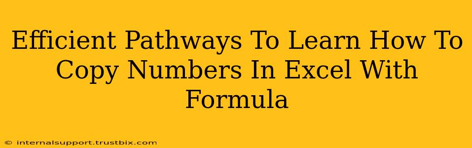 Efficient Pathways To Learn How To Copy Numbers In Excel With Formula