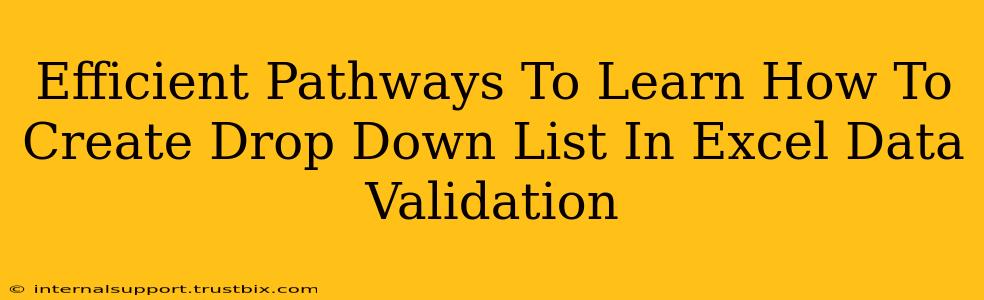 Efficient Pathways To Learn How To Create Drop Down List In Excel Data Validation