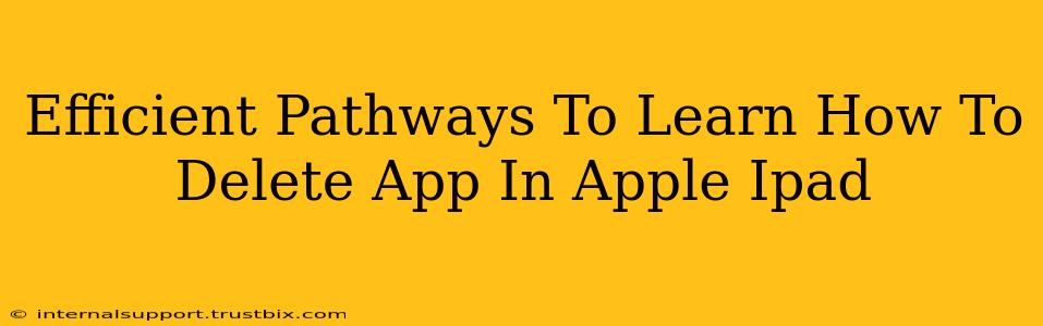 Efficient Pathways To Learn How To Delete App In Apple Ipad