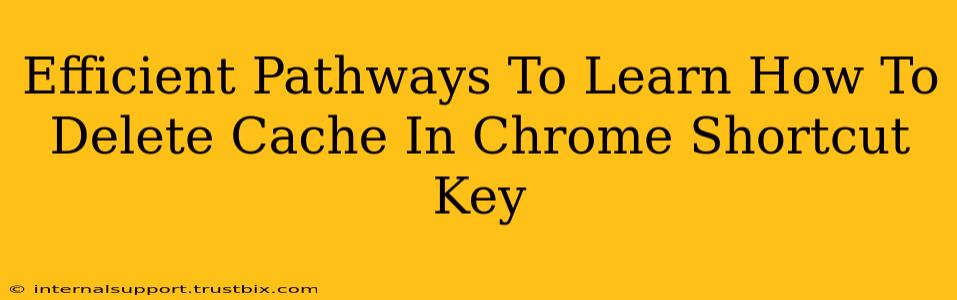 Efficient Pathways To Learn How To Delete Cache In Chrome Shortcut Key