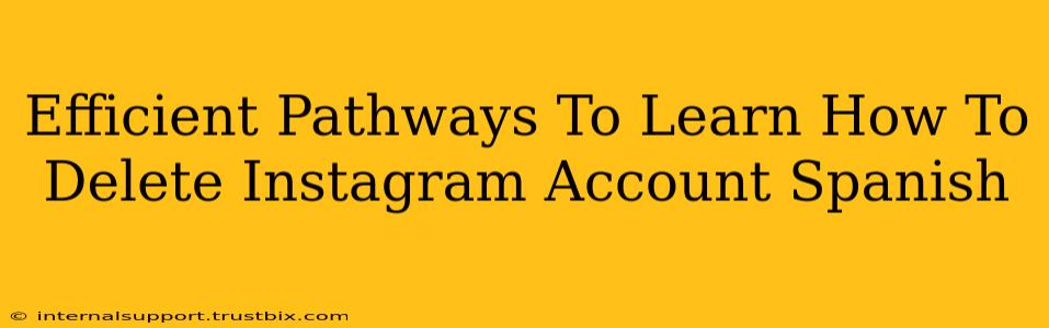 Efficient Pathways To Learn How To Delete Instagram Account Spanish