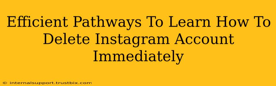 Efficient Pathways To Learn How To Delete Instagram Account Immediately