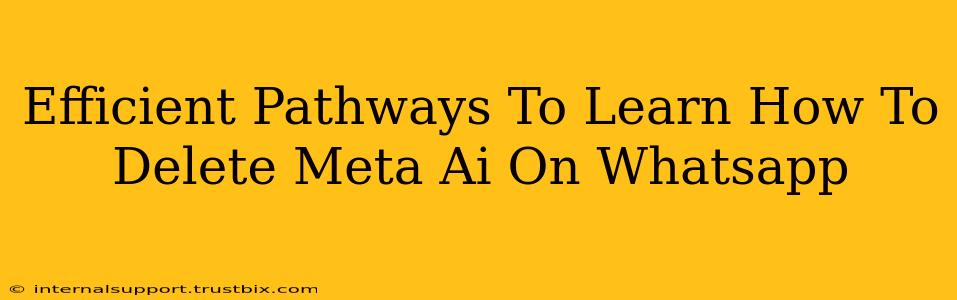 Efficient Pathways To Learn How To Delete Meta Ai On Whatsapp