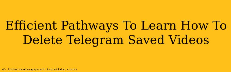 Efficient Pathways To Learn How To Delete Telegram Saved Videos