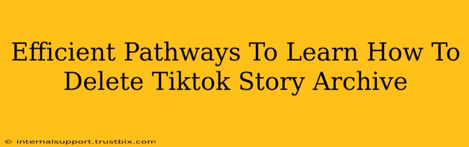 Efficient Pathways To Learn How To Delete Tiktok Story Archive