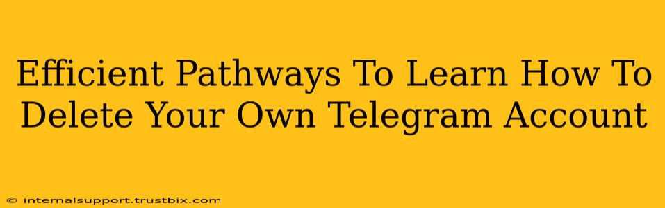 Efficient Pathways To Learn How To Delete Your Own Telegram Account