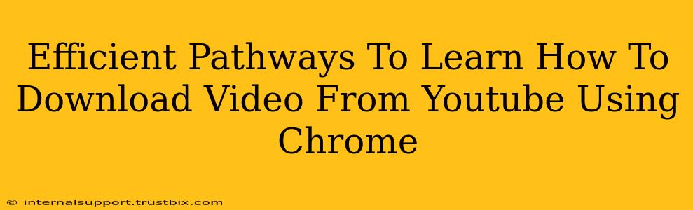 Efficient Pathways To Learn How To Download Video From Youtube Using Chrome