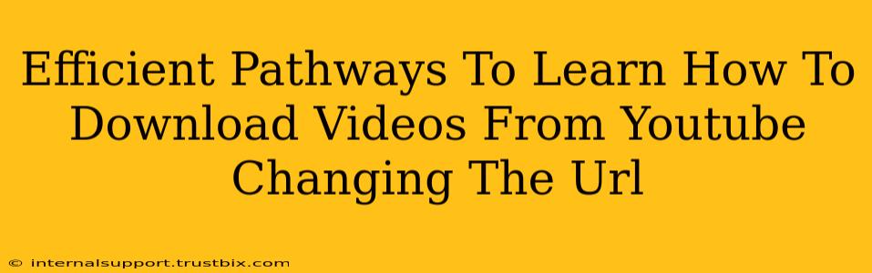 Efficient Pathways To Learn How To Download Videos From Youtube Changing The Url