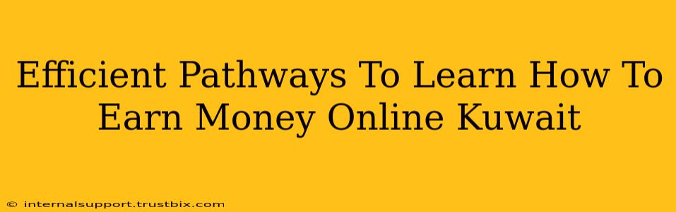 Efficient Pathways To Learn How To Earn Money Online Kuwait