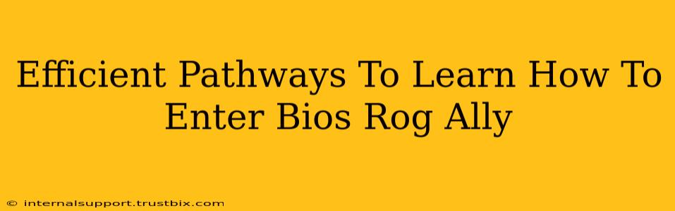 Efficient Pathways To Learn How To Enter Bios Rog Ally