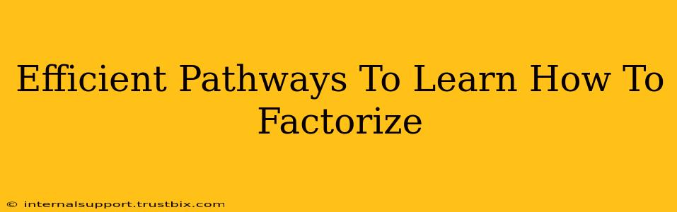 Efficient Pathways To Learn How To Factorize