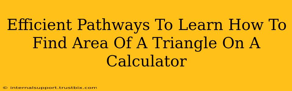 Efficient Pathways To Learn How To Find Area Of A Triangle On A Calculator