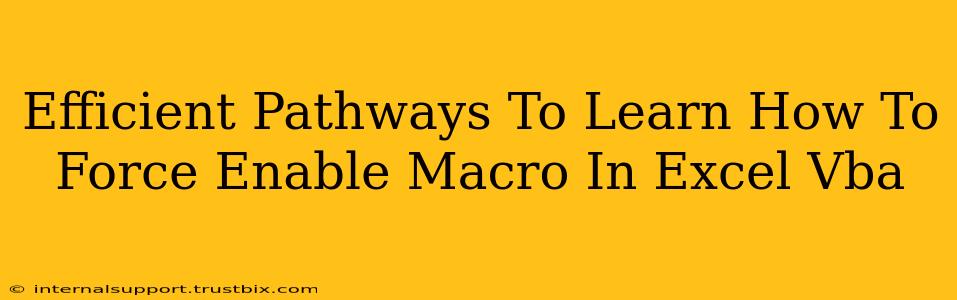 Efficient Pathways To Learn How To Force Enable Macro In Excel Vba