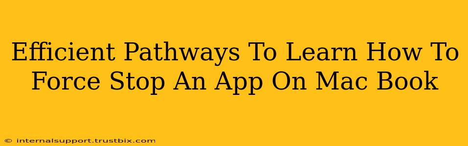 Efficient Pathways To Learn How To Force Stop An App On Mac Book